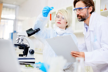 Similar image 13282509