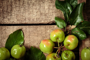 Similar image 13286765