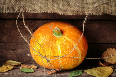 Similar image 13286773