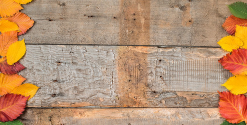 Similar image 13286754