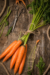 Similar image 13286755