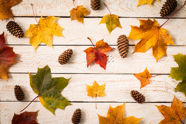 Similar image 13286762