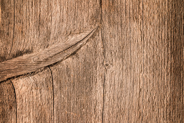 Similar image 13286767