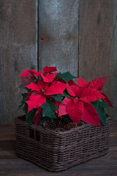 Similar image 13284207