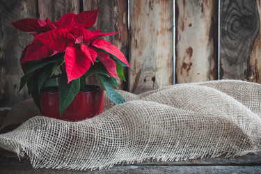 Similar image 13284216