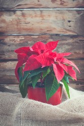 Similar image 13284222