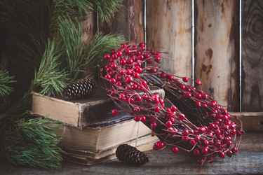 Similar image 13284186