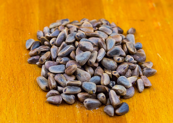 Similar image 13286042