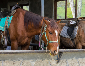 Similar image 13286080