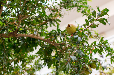 Similar image 13286081