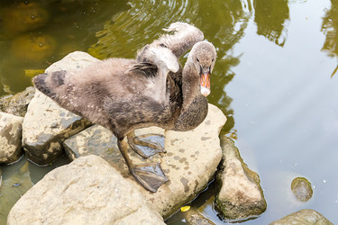 Similar image 13286082