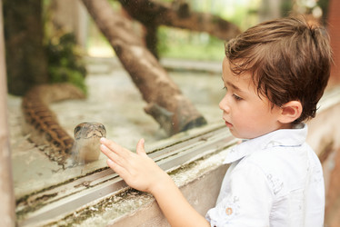 Similar image 13284970