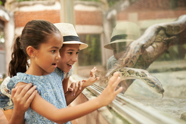 Similar image 13284971