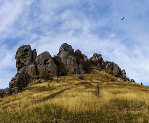 Similar image 13285389