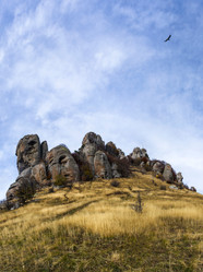 Similar image 13285390