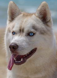 Similar image 13285372