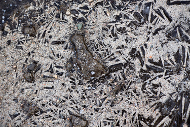 Similar image 13288760