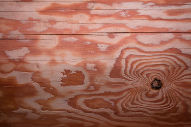 Similar image 13288761