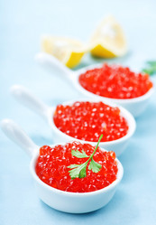 Similar image 13287094