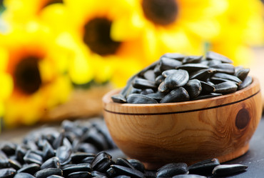 Similar image 13286958