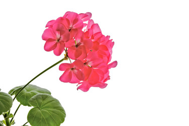 Similar image 13288764