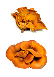 Similar image 13286581