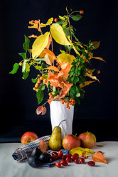 Similar image 13286605