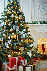 Similar image 13286198