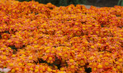 Similar image 13289044