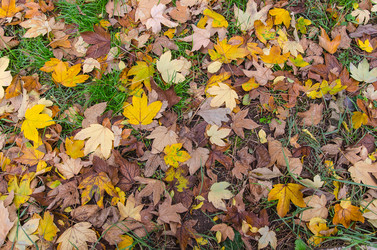 Similar image 13289046