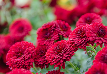 Similar image 13289049