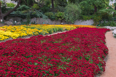 Similar image 13289050