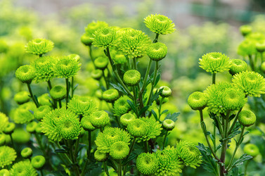 Similar image 13289051