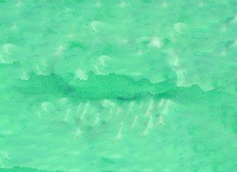 Similar image 13286776