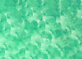 Similar image 13286781