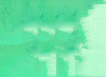 Similar image 13286783