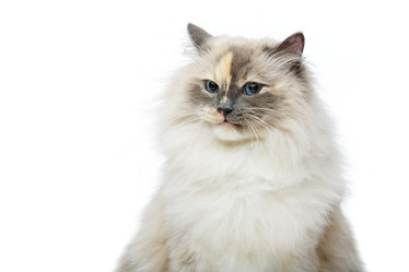 Similar image 13289530