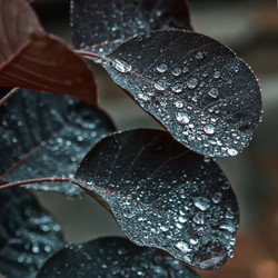 Similar image 13287547