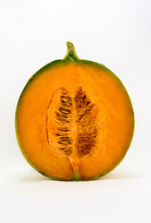 Similar image 13288973