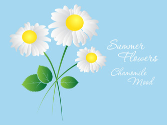 Similar image 13287050