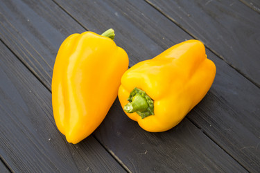 Similar image 13287067