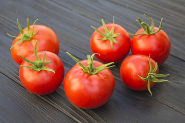 Similar image 13287288