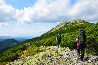 Similar image 13288909