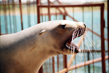 Similar image 13288817