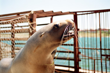 Similar image 13288818