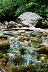 Similar image 13288819