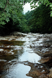 Similar image 13288820