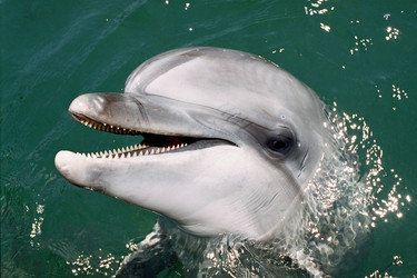 Similar image 13288824