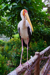 Similar image 13288747