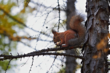 Similar image 13288770